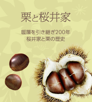 栗と桜井家　暖簾を引き継ぎ200年桜井家と栗の歴史