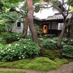 小さな栗の木美術館